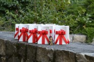 Laurea (3).JPG