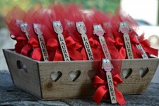 LAUREA_05.JPG