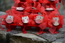 LAUREA_18.JPG