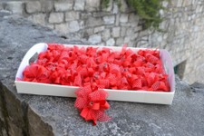 LAUREA_25.JPG