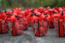 LAUREA_27.JPG